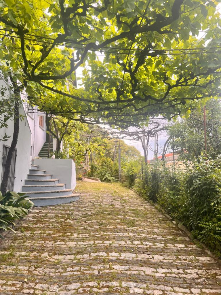 Thimjos & Ritas Guesthouse photo 3