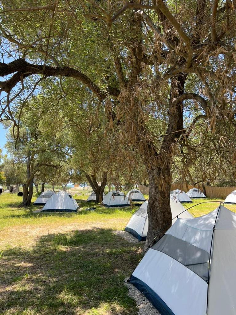 Borsh Olive Camping photo 1
