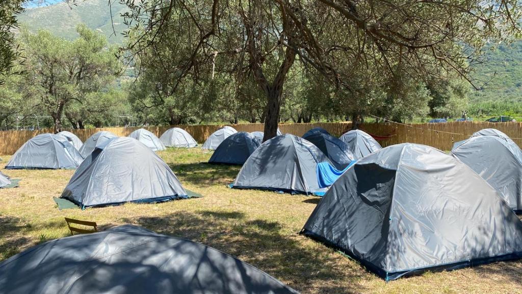 Borsh Olive Camping photo 2