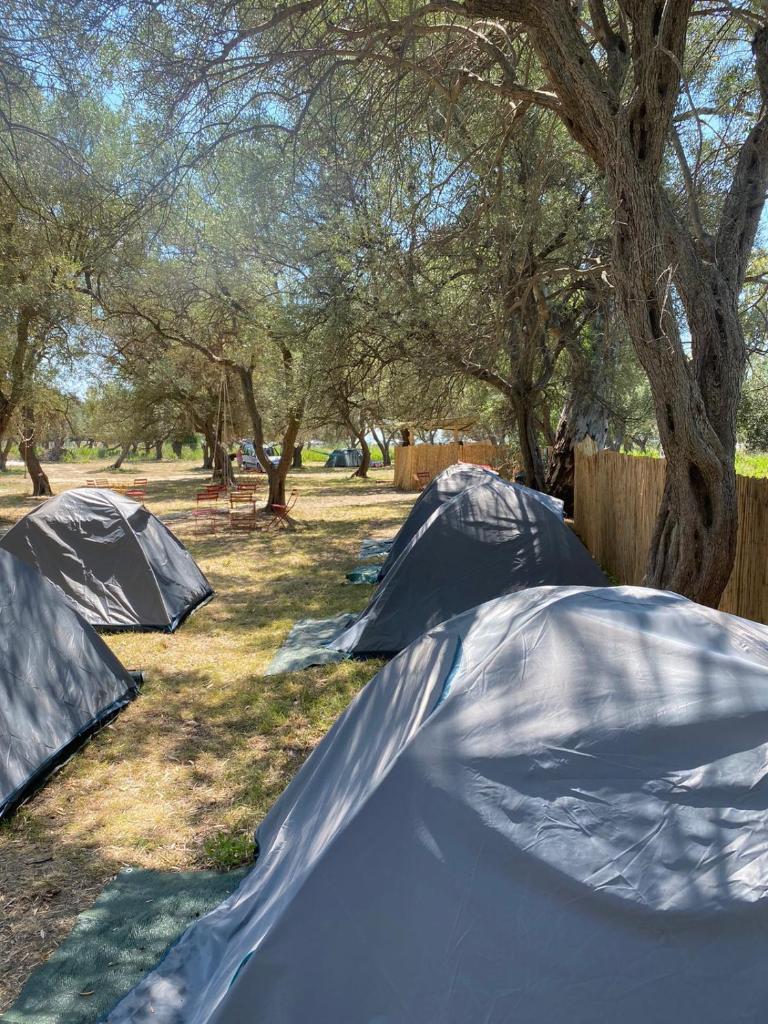 Borsh Olive Camping photo 4