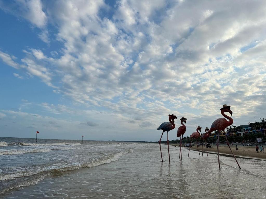 IB708 FLAMINGO Hai Tien