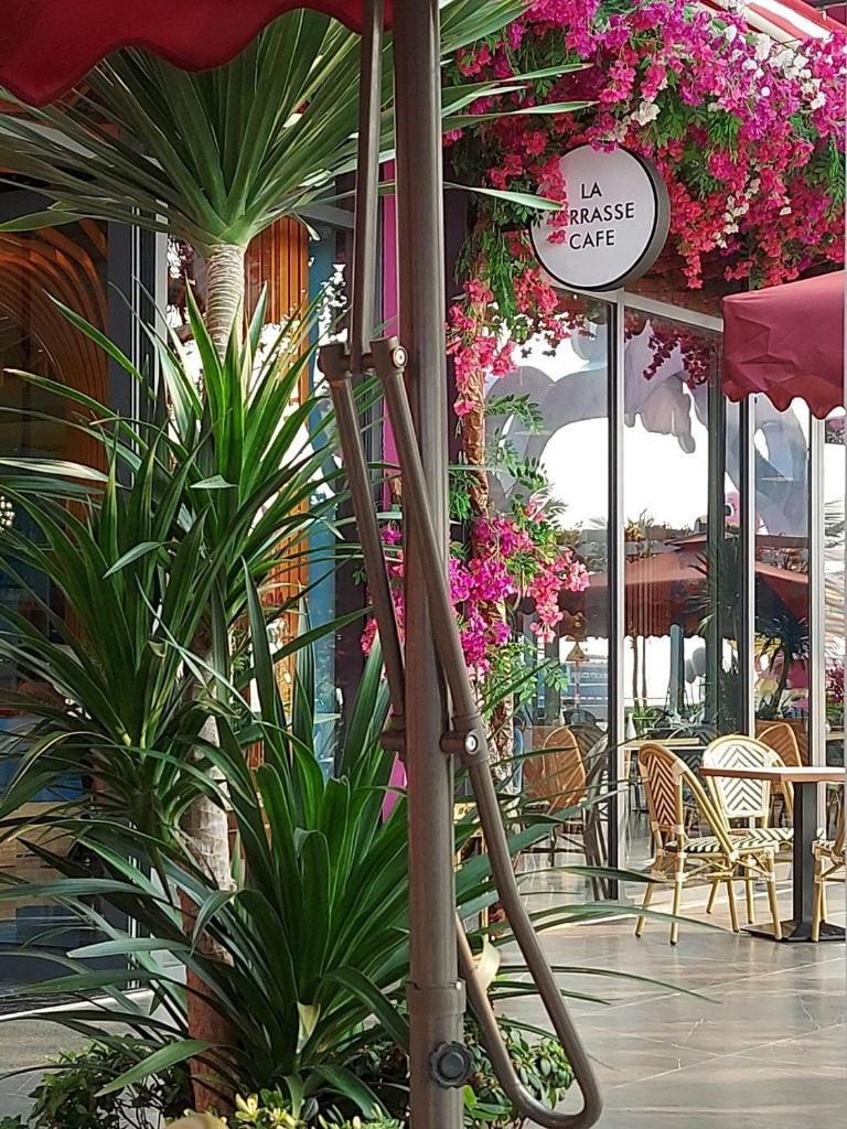 IB708 FLAMINGO Hai Tien