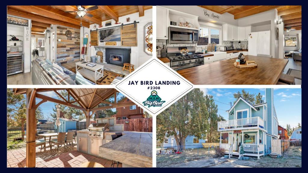 JAY Bird Landing Escape #2308 image