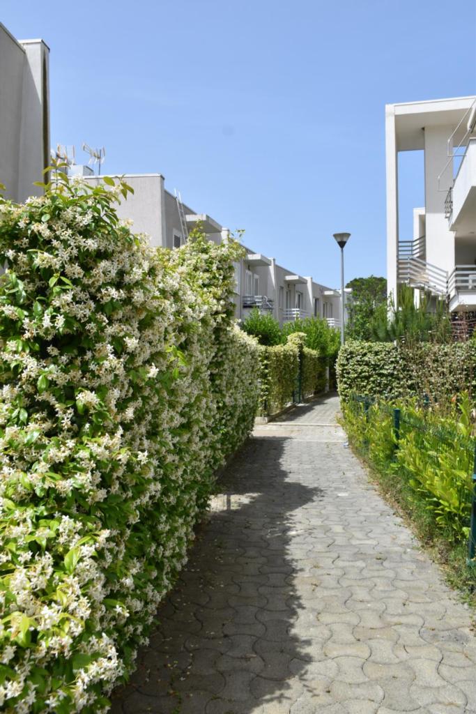 Leta's apartments, beach vacation rentals
