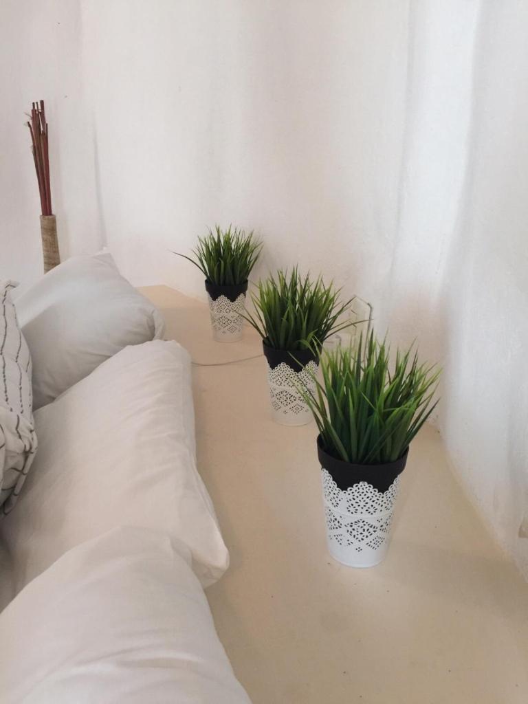 Сьюит (Полулюкс), Harmony Glamping and Boutique Hotel