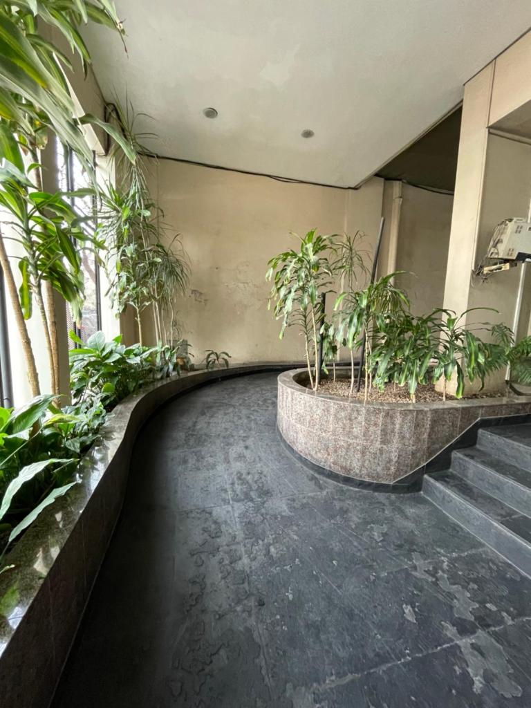 Apartamento con Terraza en Parque Centenario photo 3