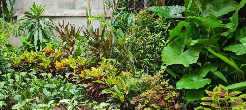 Airhome Westlake Vong Thi