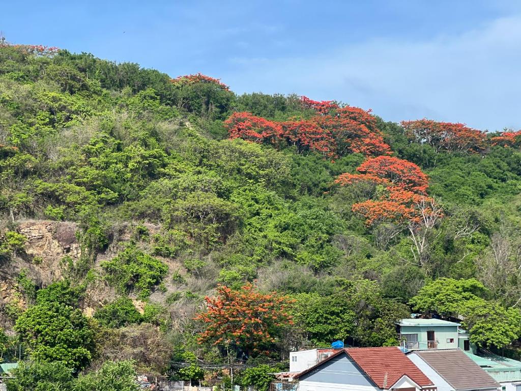 An's Home Hotel Vũng Tàu