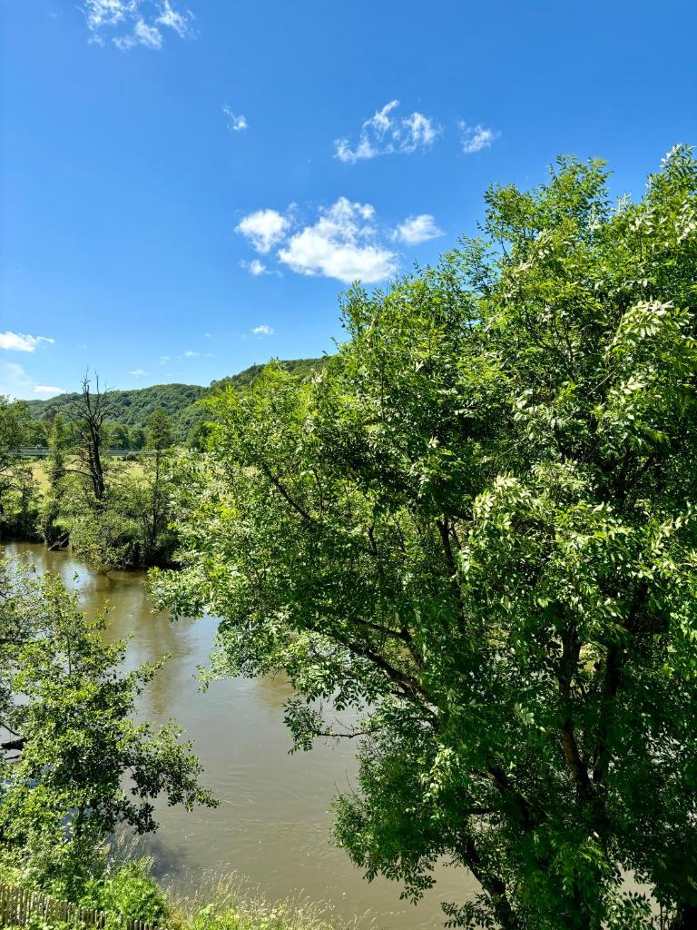 Penthouse : immersion dans la nature photo 2