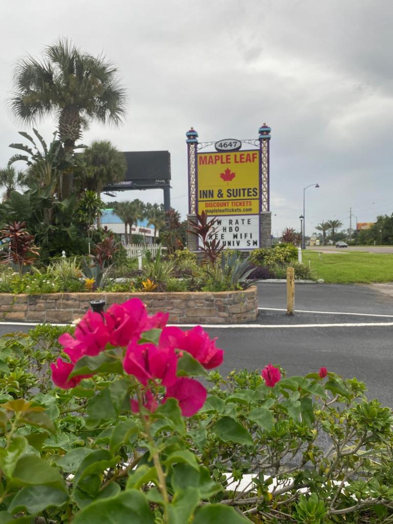 Maple Leaf Inn & Suites image