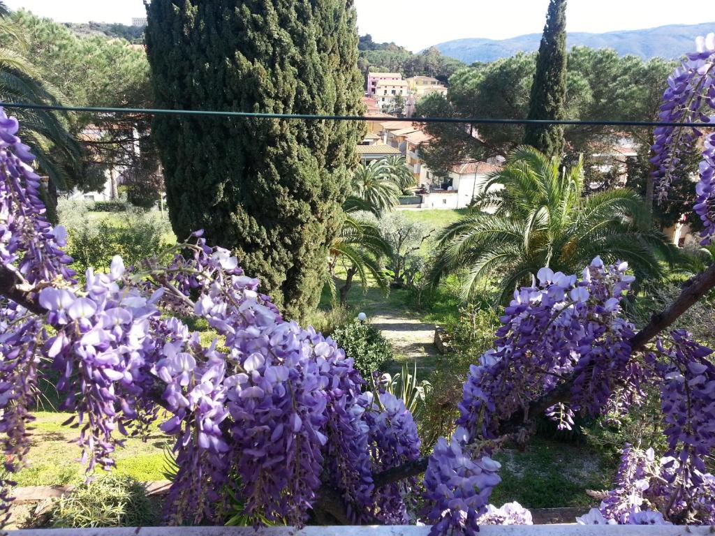 Villa San Giuseppe photo 2