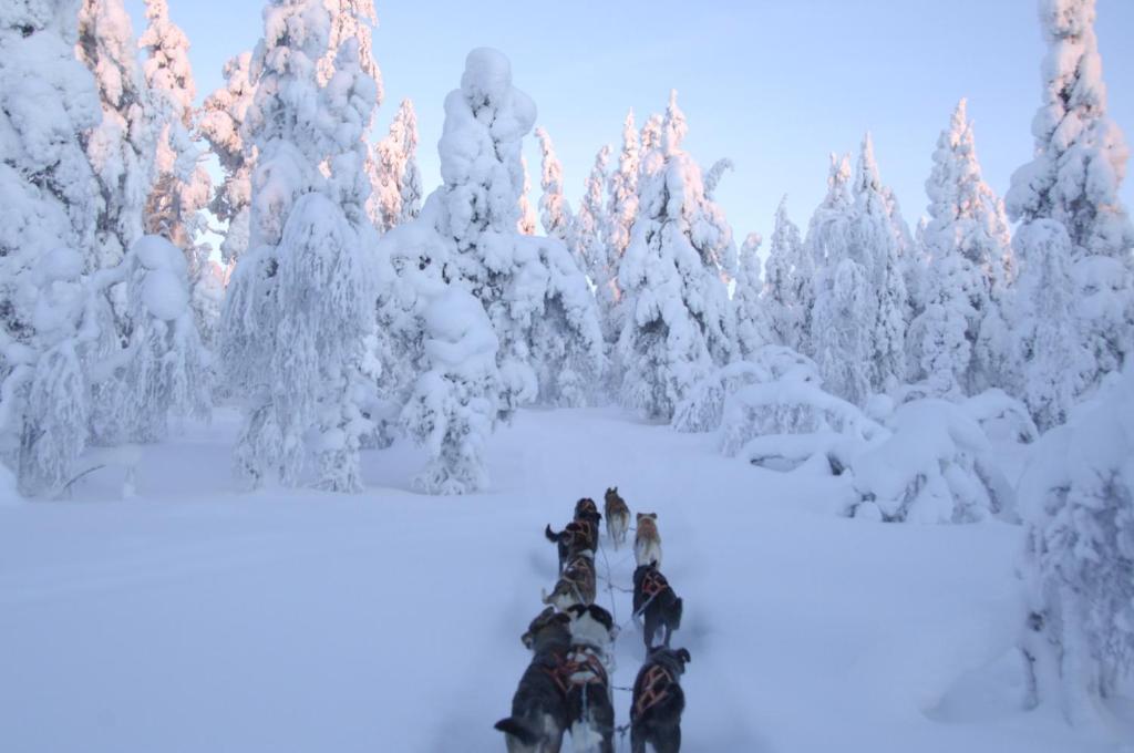 Guesthouse Husky photo 1