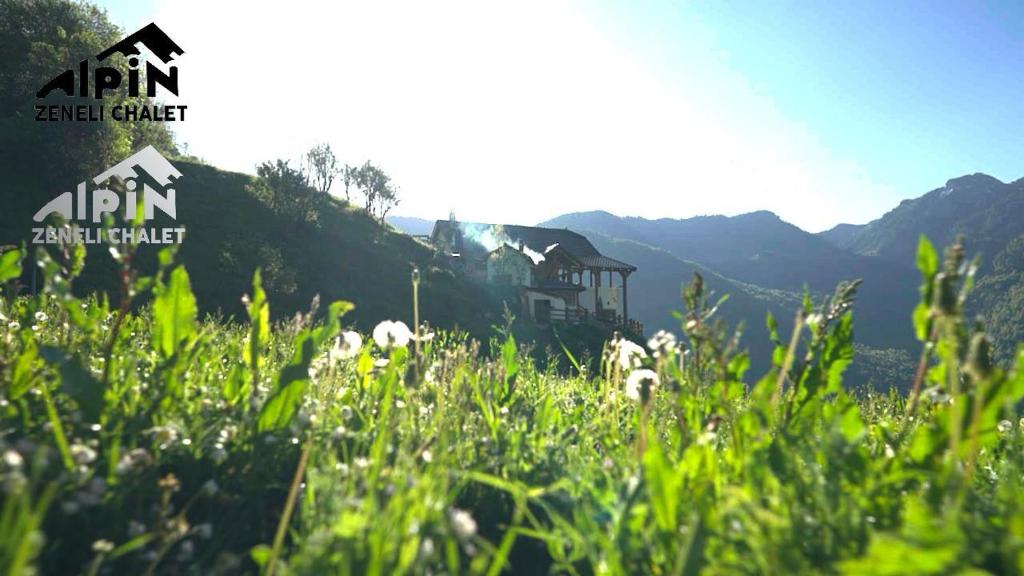Alpin Zeneli Chalet photo 3