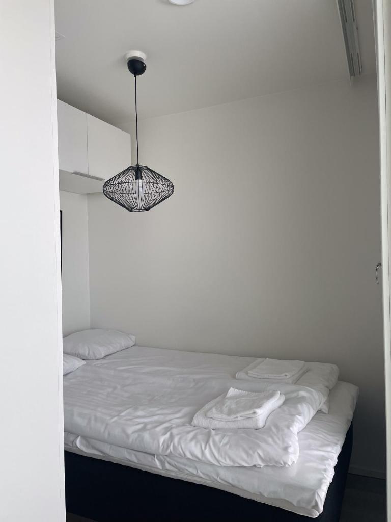 Snowflake Suites IV