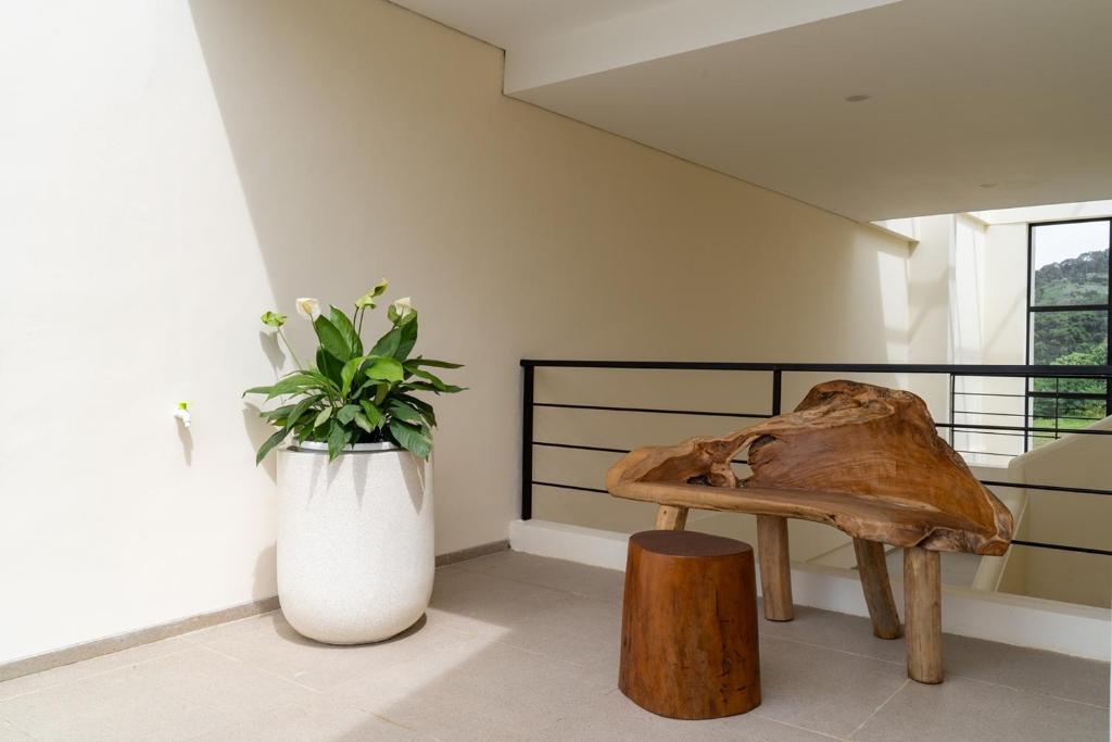 Jaden Hill Mountain City View Villa 8 bedrooms with a private heated swimming pool and a movie room photo 3