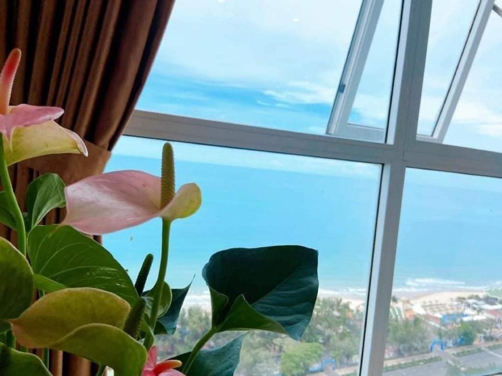 Mon Mon's Homestay in Oasky Sơn Thịnh 2