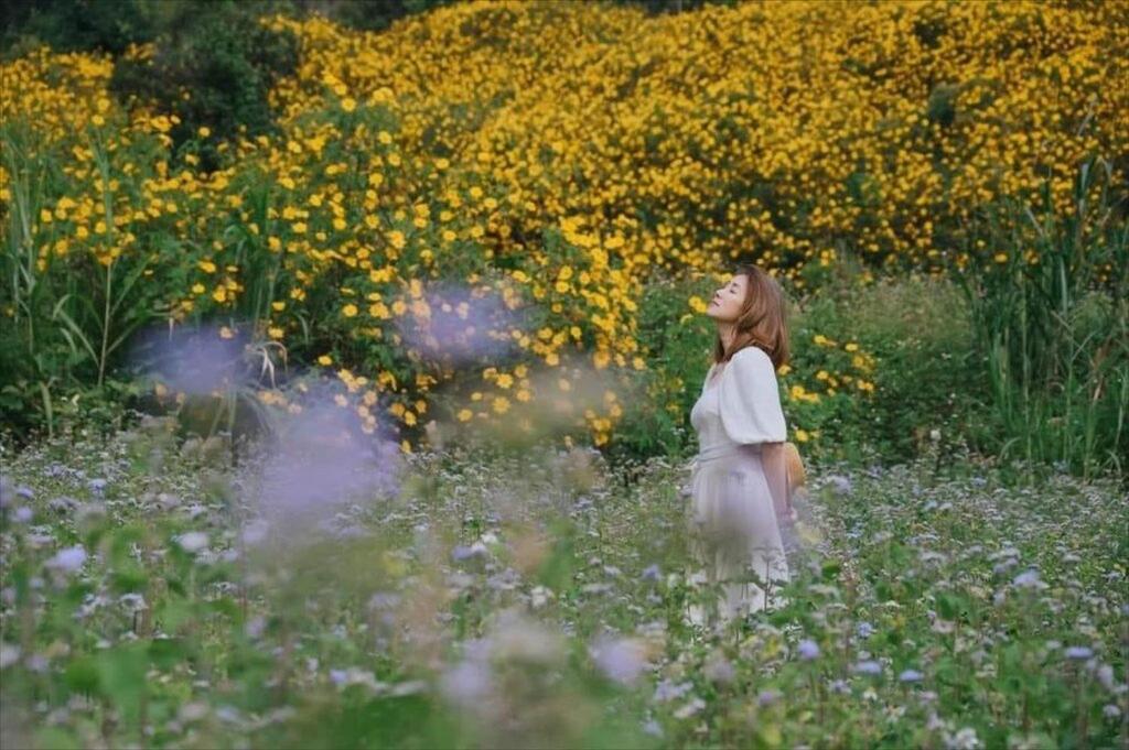 Horizon View Residence Ha Noi Capital