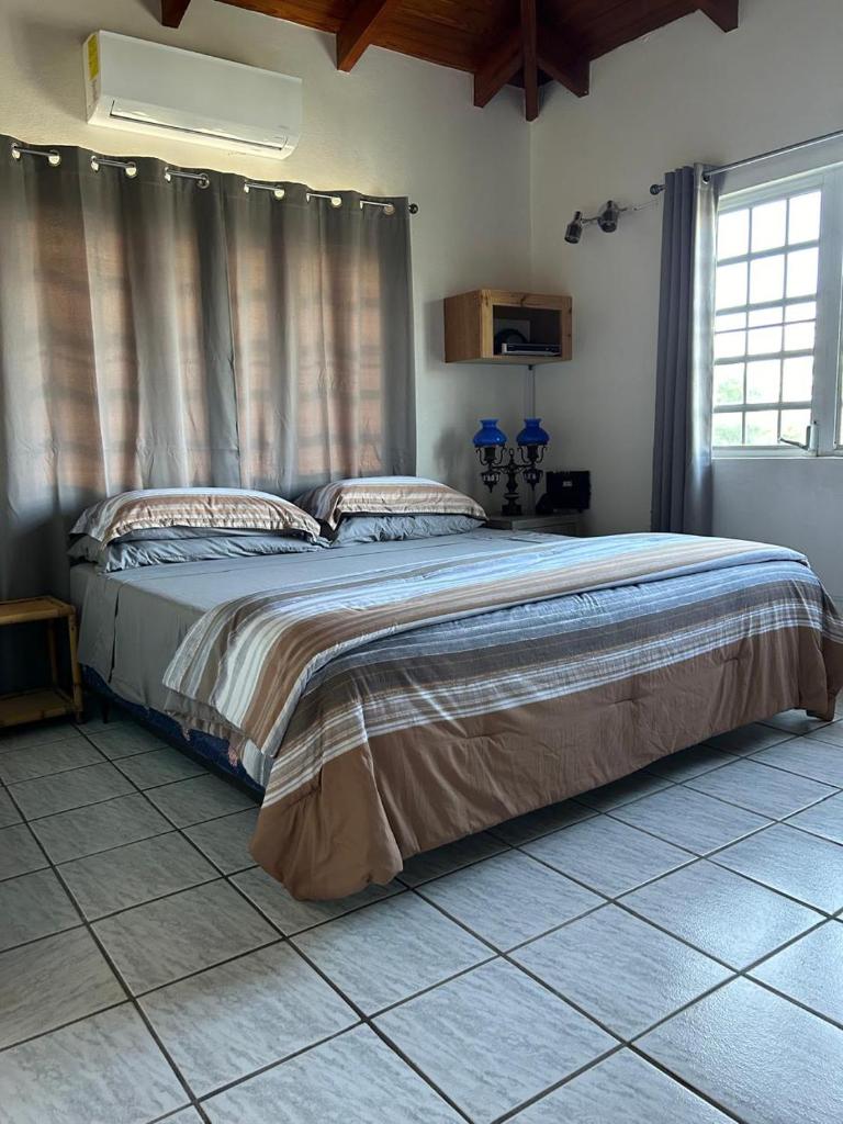 Casa Patricia photo 3