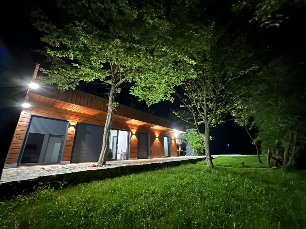Villa Vigo photo 4
