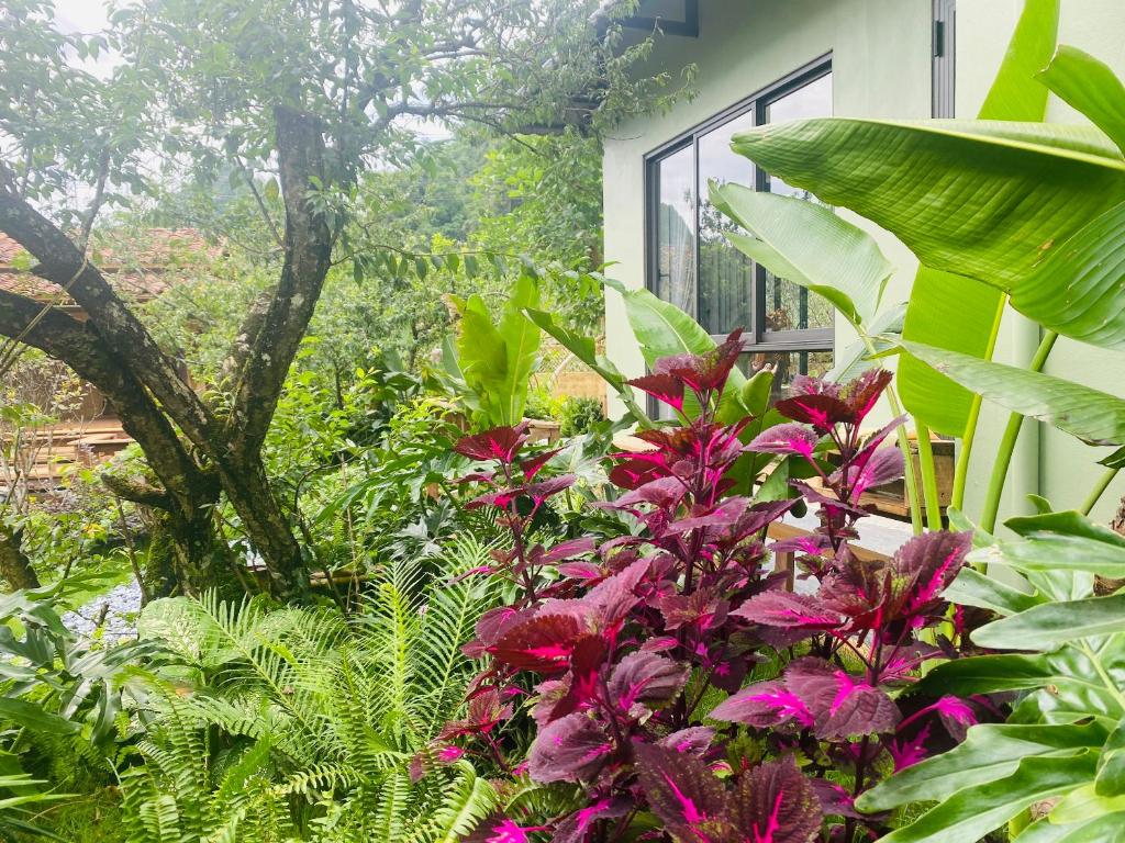 Châu homestay - Mộc Châu , Sơn La