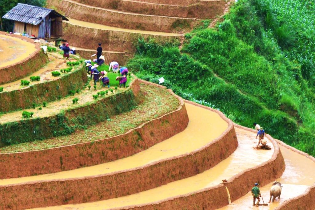 Hmong's Life Homestay