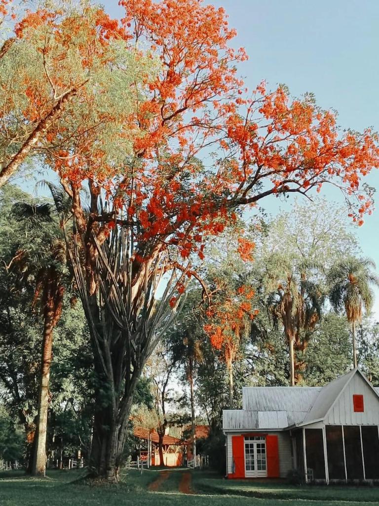 Estancia Las Mercedes photo 1