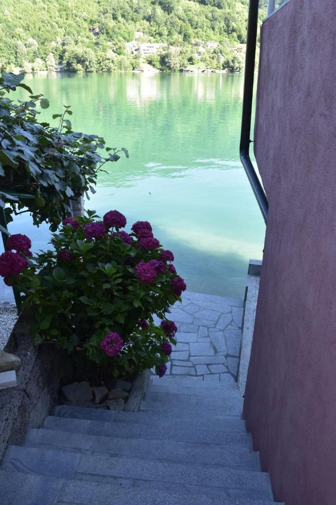 Apartman Kovačević photo 1