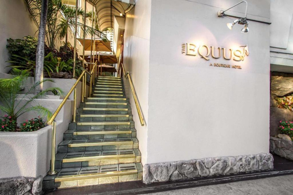 The Equus image