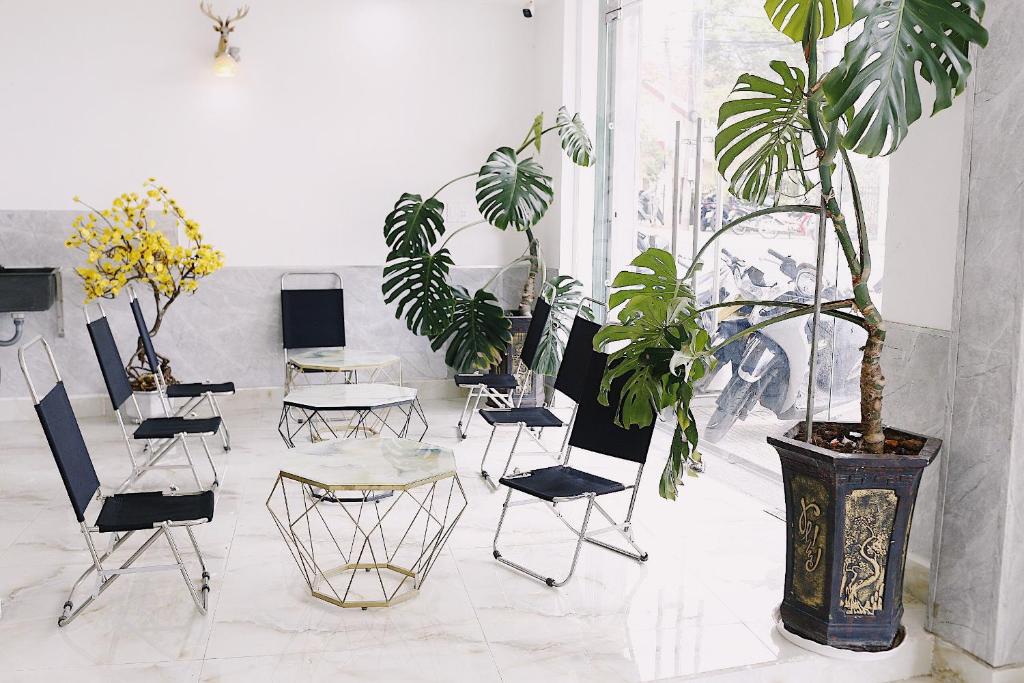 IvySnow Đà Lạt