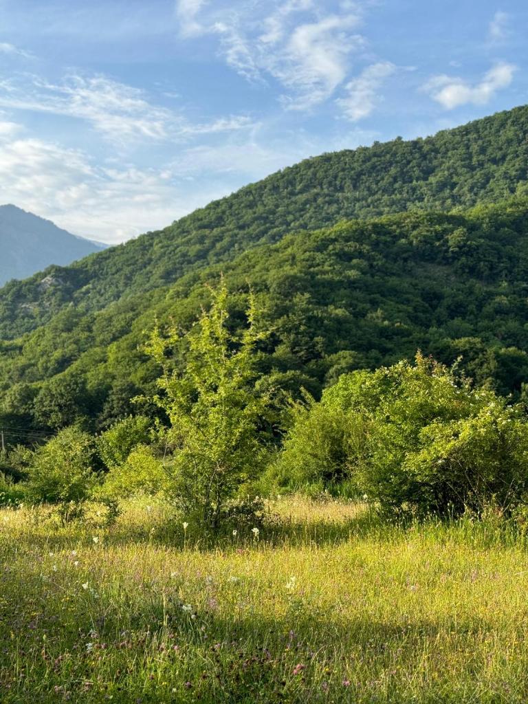 Oğuz rayon,Baş Daşağıl kəndi photo 2