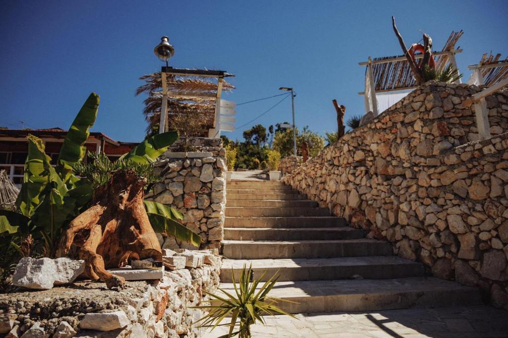 Feral Beach