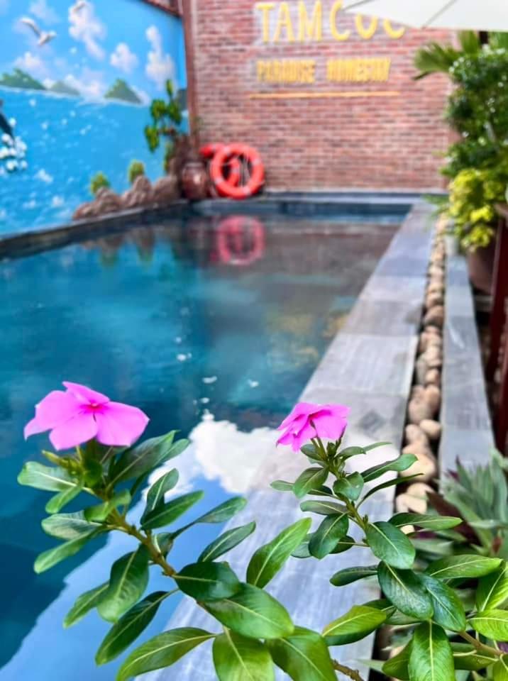 Tam Coc Paradise Homestay