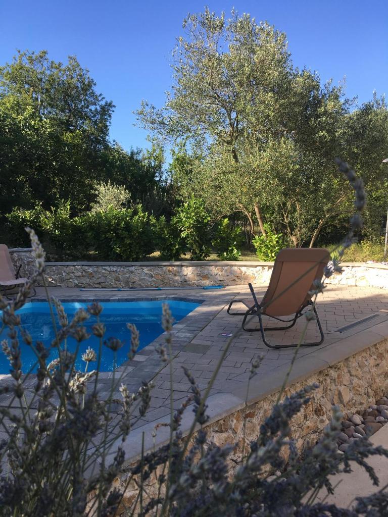 Summer House - Adonis photo 4