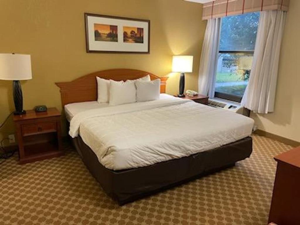 Quality Inn & Suites image