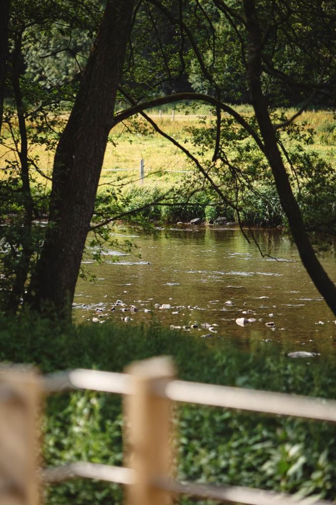 L'insolite par La Claire Fontaine photo 3