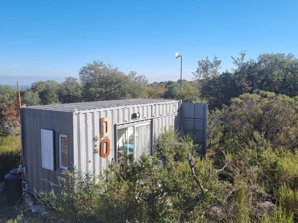 EL ANÍMICO container photo 3