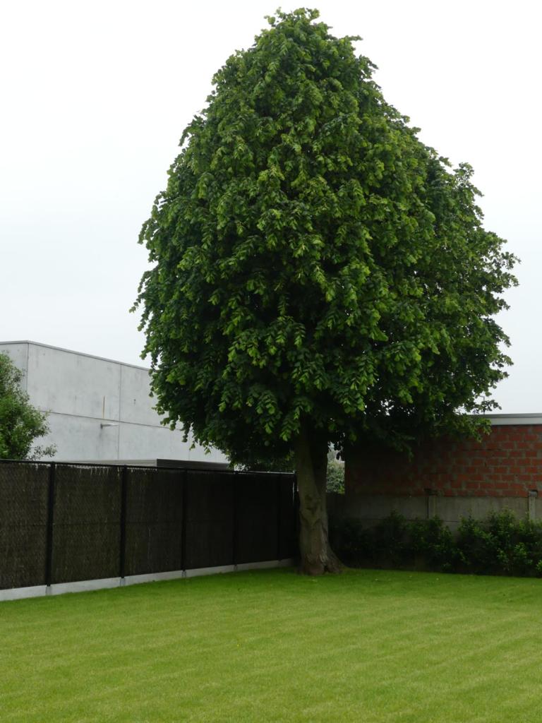 vakantiehuis Le Libr-air photo 1