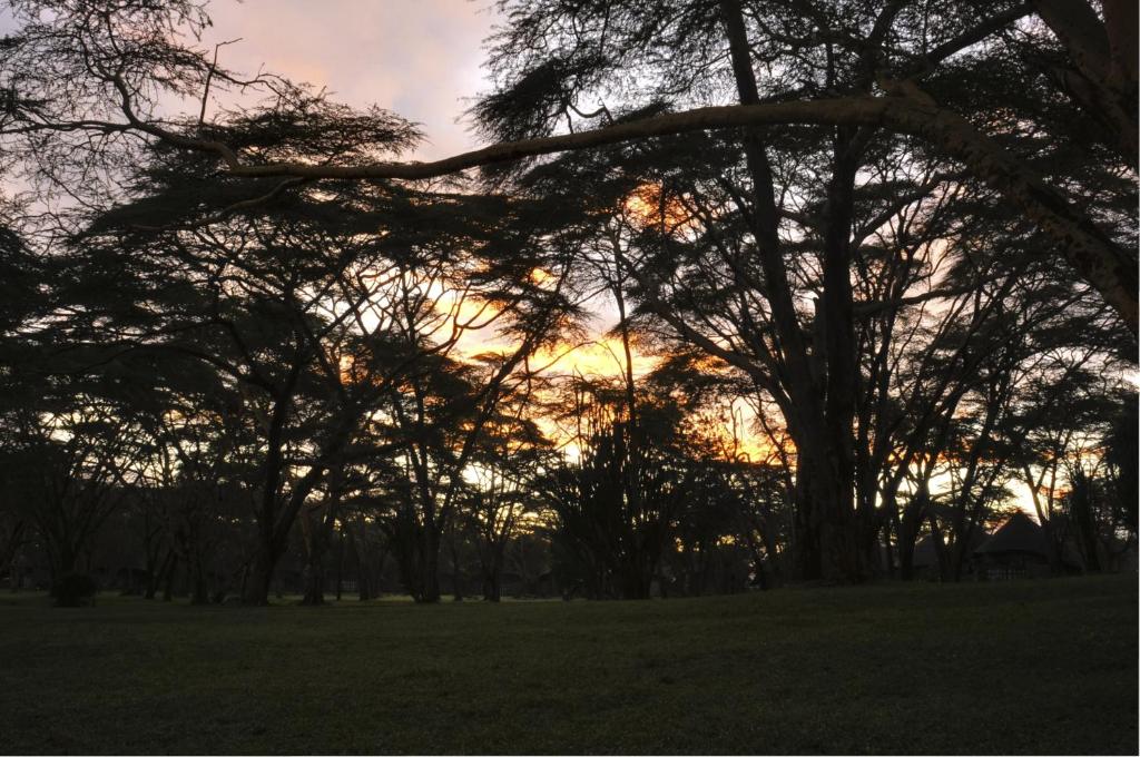 Lake Naivasha Sopa Resort photo 4