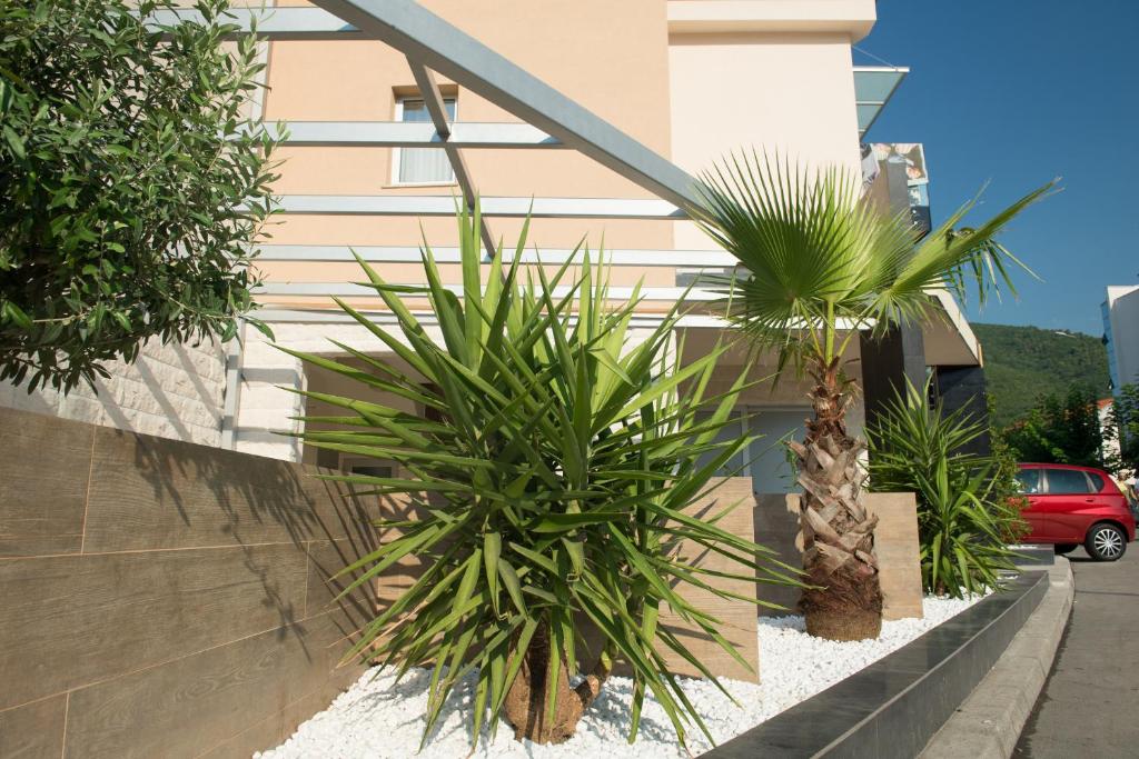 Двухместный (Стандартный двухместный номер с 1 кроватью), Guest House Vila Centar