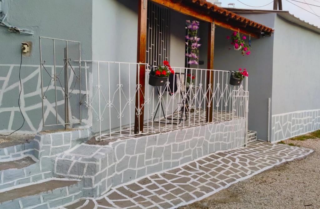 Guest House ROLI photo 2