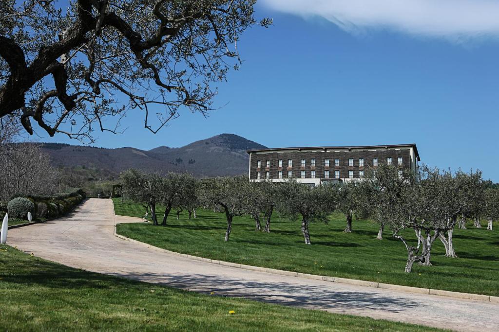 Grand Hotel Garden photo 2