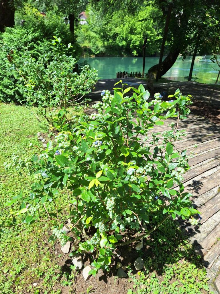 ATRIUM Holiday home photo 3