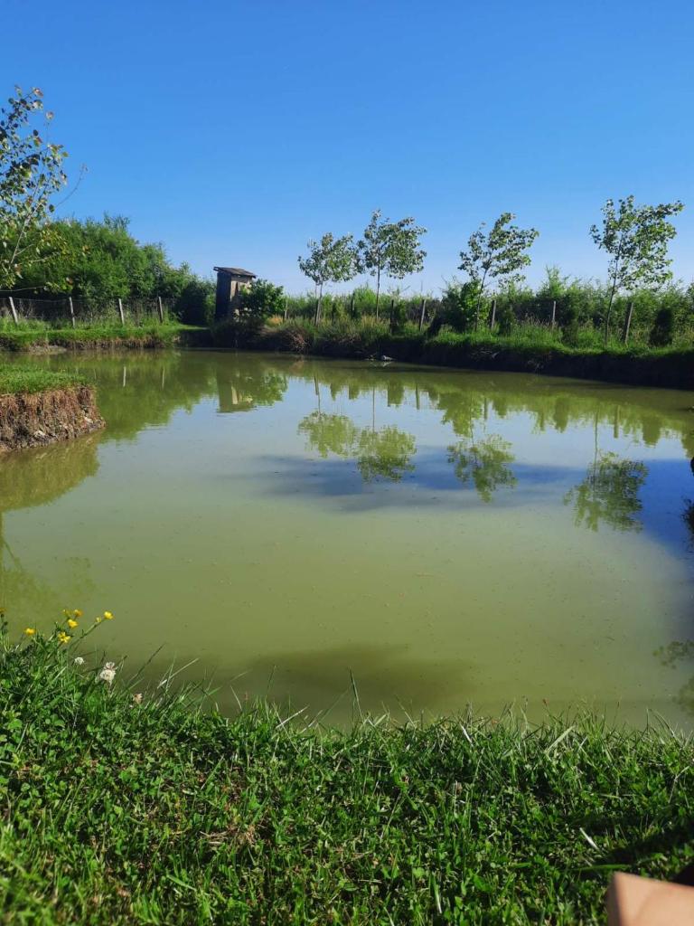 Izletište Camp Kruškik photo 4