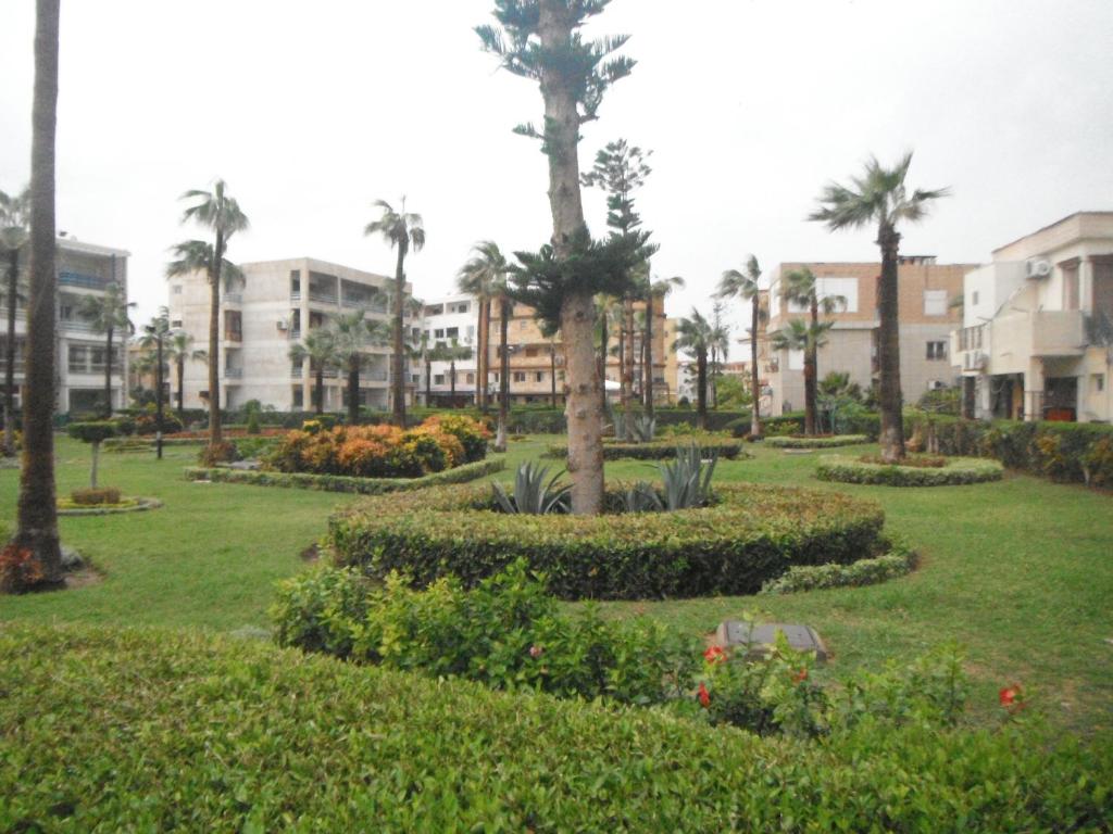 Апартаменты (Апартаменты с 2 спальнями), Maamoura Armed Forces Apartments
