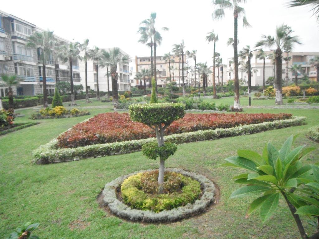 Апартаменты (Апартаменты с 2 спальнями), Maamoura Armed Forces Apartments