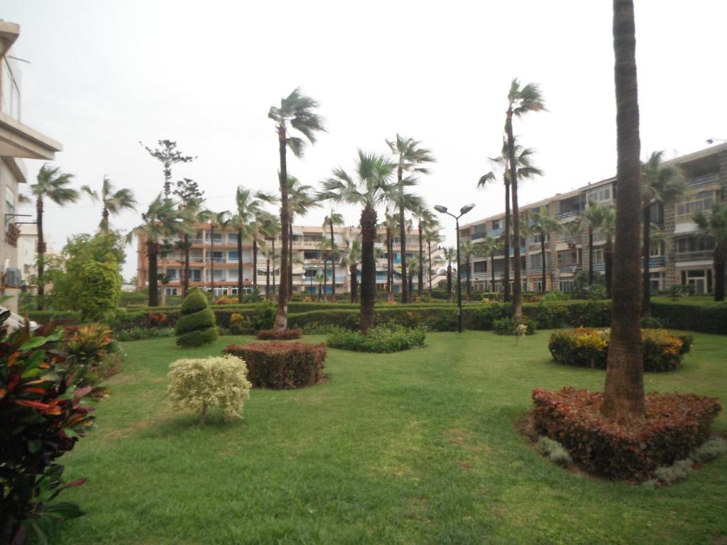 Апартаменты (Апартаменты с 2 спальнями), Maamoura Armed Forces Apartments