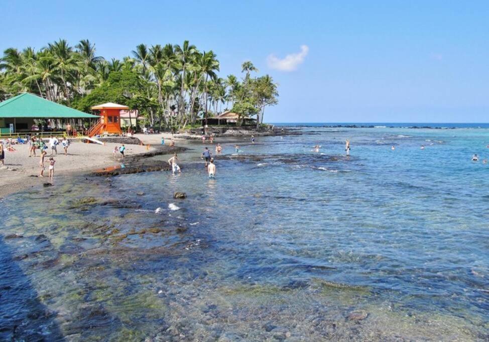 MOST POPULAR SNORKELING & SURFING BEACH ! Turtles! - Tap to explore photos
