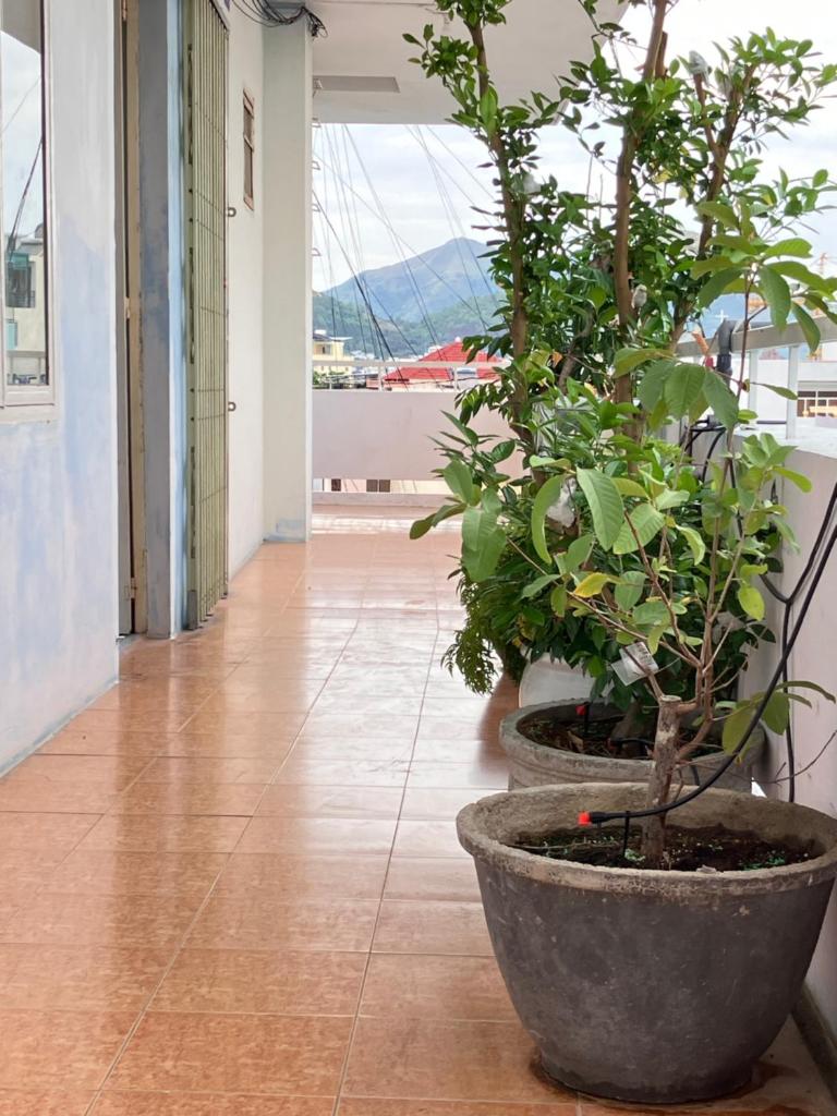 Green Homestay - Chợ Đầm