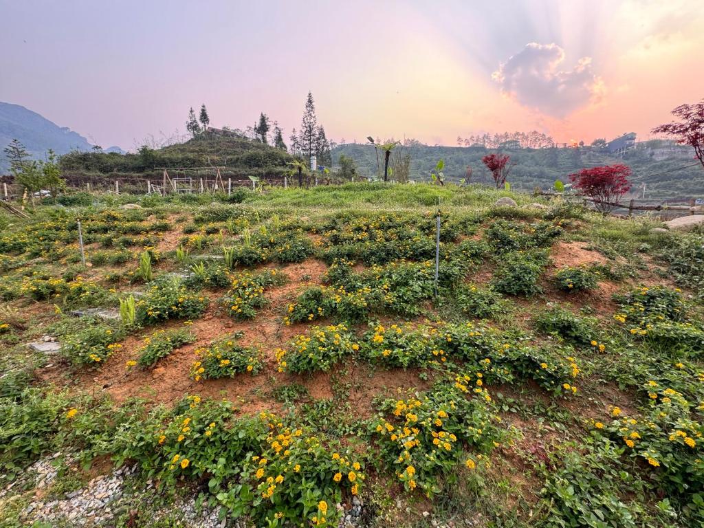 Chapa Hill Villa Sa Pa