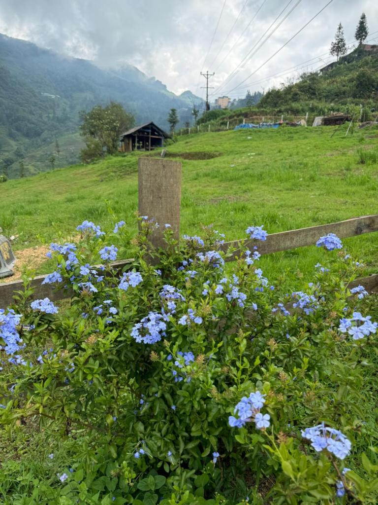 Chapa Hill Villa Sa Pa